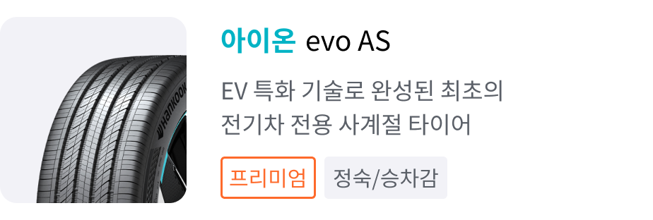 아이온 evo AS